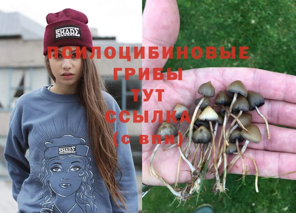 MDMA Абаза