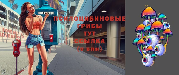 ГАЛЛЮЦИНОГЕННЫЕ ГРИБЫ Абинск