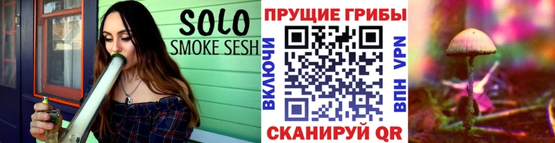 shop состав  Балахна  Псилоцибиновые грибы прущие грибы  где можно купить наркотик 