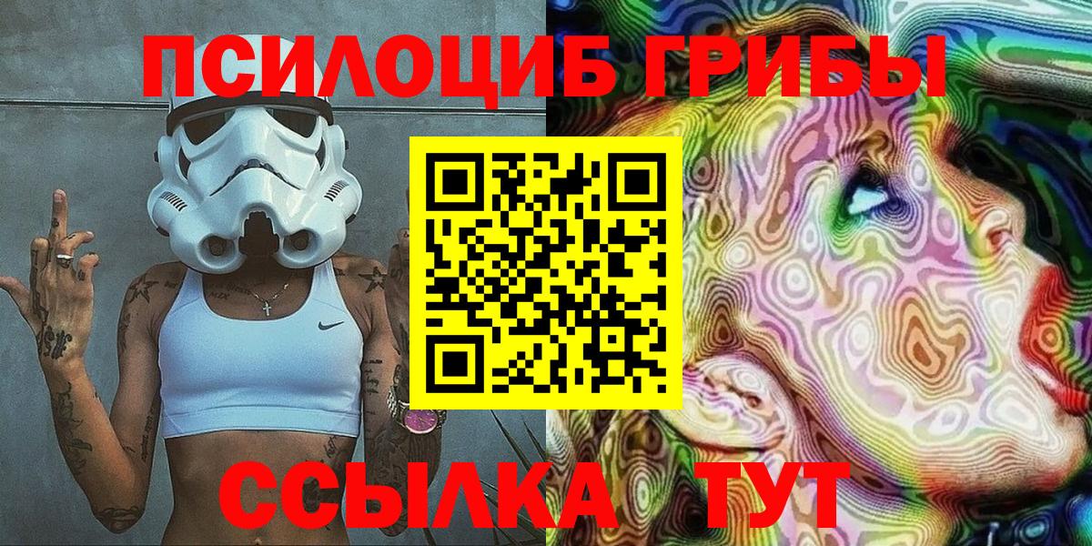 Балахна  Галлюциногенные грибы Cubensis  Вход с VPN 